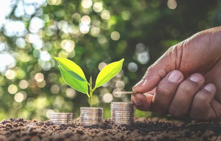 Person planting a seed with coins around